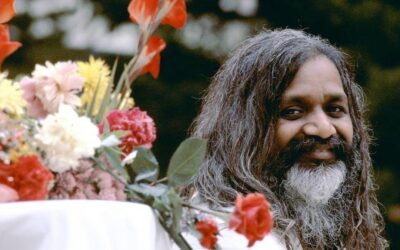 Maharishi: A kincstár és a piac – 1. rész