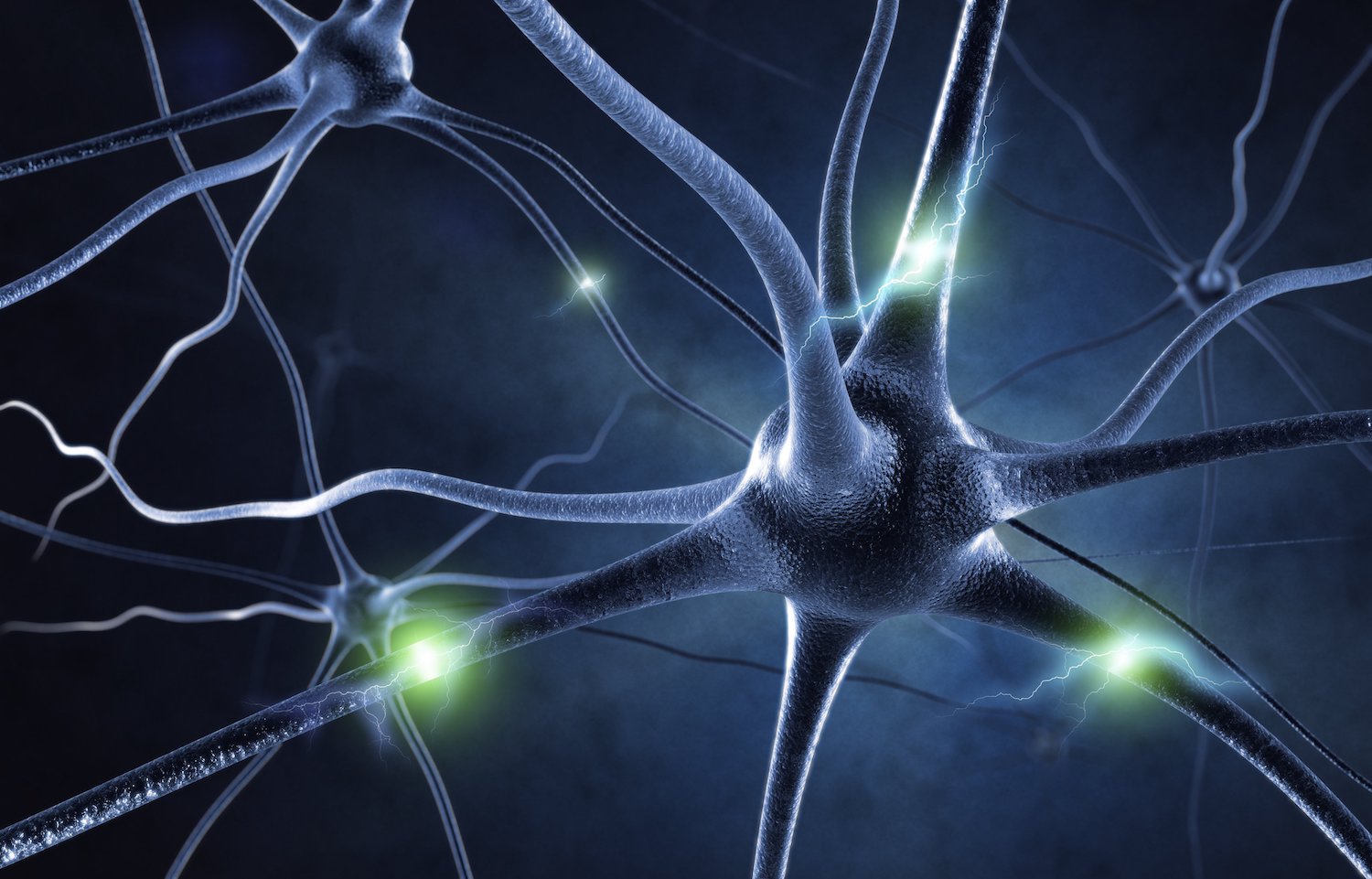 neuroplaszticitás TM agy megújítja önmagát